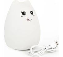 Светильник Удачная покупка LED06-B