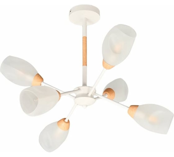 Потолочная люстра LUMION E14 6*40W KENDRA 5210/6C 1