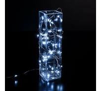 Бытовая электрическая гирлянда Eurosvet 400-006 / нить / белый a056045