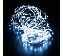 Бытовая электрическая гирлянда Eurosvet 400-009 / нить / белый a060411