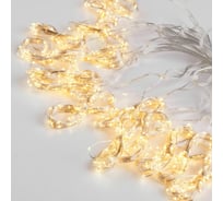 Бытовая электрическая гирлянда Eurosvet 200-006 / занавес / теплый белый a060422