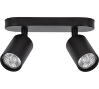 Спот ARTE LAMP AQUARIUS A3226PL-2BK