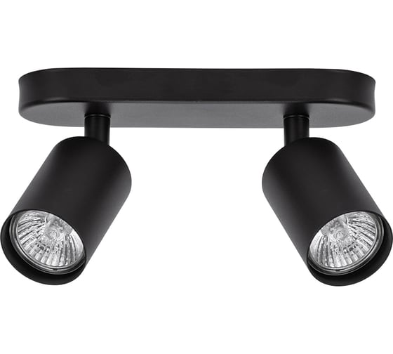 Спот ARTE LAMP AQUARIUS A3226PL-2BK 1