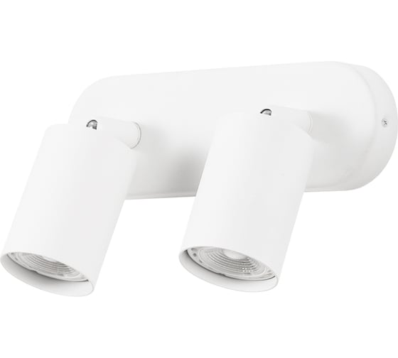 Спот ARTE LAMP AQUARIUS A3226PL-2WH 1