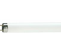Люминесцентная лампа PHILIPS TL-D 18W/54-765 18Вт T8 6200К G13 1 шт 10657