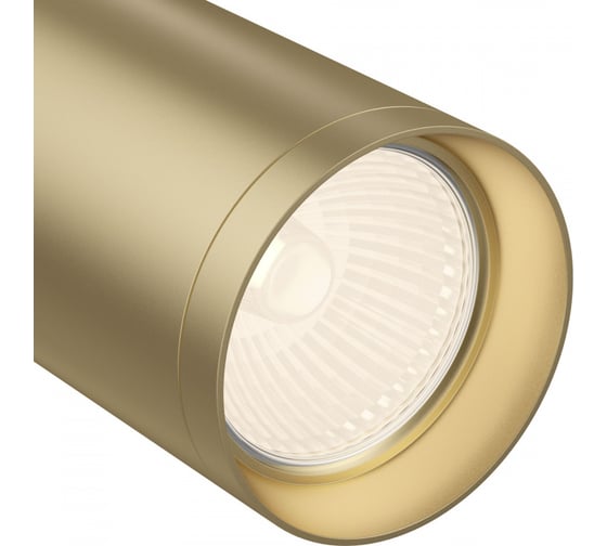 Потолочный светильник MAYTONI Focus 1xGU10x50W C018CL-01MG