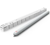 Светильник Gauss IP65 LED ССП-176 EVO IP65 12007666 36W 3960lm 4000K с БАП на 1ч, 864425236A
