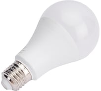 Светодиодная лампа RSV A65-20W-6500K-E27 P 100428