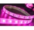 Светодиодная лента SWG 14,4 Вт/м SMD5050 Закрытая (IP65) Цвет RGB 24V 00000000364 9