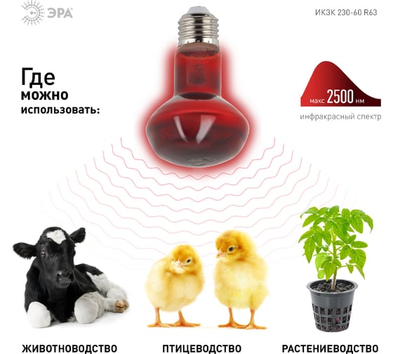 Инфракрасная лампа ЭРА ИКЗК 230-60 R63 Е27 для обогрева животных 60 Вт Е27, Б0057281