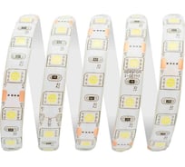 Светодиодная лента Apeyron 12В, СТ, 14,4Вт/м, smd5050, 60д/м, IP65, 700Лм/м 00-543