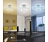 Потолочный светодиодный светильник Rivoli Alicia 6093-105 с пультом 64 Вт 3000К-6000К LED модерн, Б0052651 8