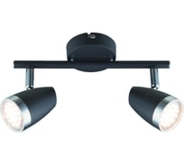 Светодиодный поворотный настенно-потолочный светильник Rivoli спот Joyce 6156-702 LED 2x4 Вт 3200К, Б0054689
