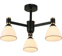 Потолочная люстра J-Light 3189/3C