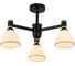 Потолочная люстра J-Light 3189/3C 1
