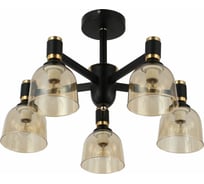Потолочная люстра J-Light 3188/5C