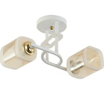 Потолочная люстра J-Light 3137/2C