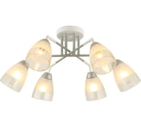 Потолочная люстра J-Light 3141/6C