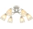 Потолочная люстра J-Light 3141/6C 1