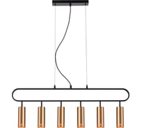 Подвесной светильник Vele Luce Brio VL5794P06