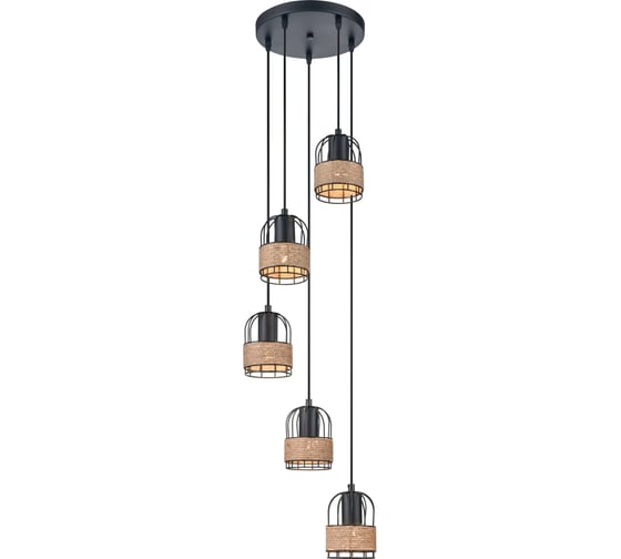 Подвесной светильник Vele Luce Extra VL6472P05 1