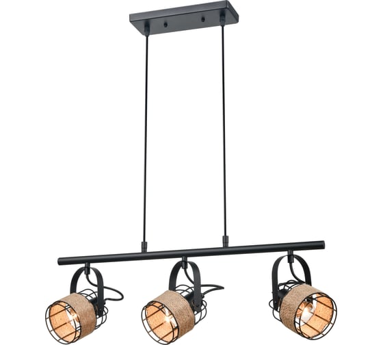 Подвесной светильник Vele Luce Extra VL6472P23 1