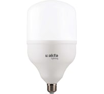 Светодиодная лампа Akfa Lighting AK-LCB 60W 6500K FLLCB602765A