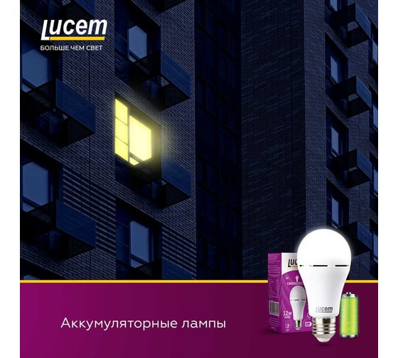 Светодиодная лампа Lucem с аккумулятором LM-EBL 7W 6500K E27 FLEBL072765L