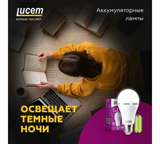 Светодиодная лампа Lucem с аккумулятором LM-EBL 7W 6500K E27 FLEBL072765L