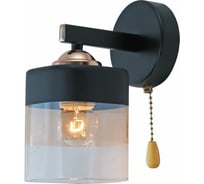 Бра светильник Rivoli Isadora 9133-401 настенный 1хЕ27 40 Вт модерн с выключателем, Б0054847