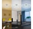 Светодиодный потолочный светильник Rivoli Kayla 6096-104 80 Вт LED 2750-5850К модерн с пультом, Б0054905 8