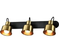 Настенно-потолочный поворотный светильник спот Rivoli Lenore 7060-703 3хЕ14 40 Вт с выключателем, Б0055022