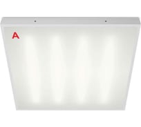 Светильник Wolta PRO МЕДИК с БАП EM1 Матовый ДВО08-54-041-4К