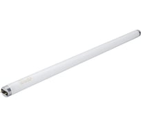 Люминесцентная лампа Osram L 18W/865 25x1 4058075693098