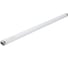 Линейная люминесцентная лампа Osram LUMILUX T8 18Вт 6500К G13 4058075693098 1