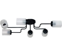 Светильник ЭЛЕТЕХ Техно 162 черный  (Плафон 8461) НСБ 01-6x60-114 Е27 ИУ 1005404589