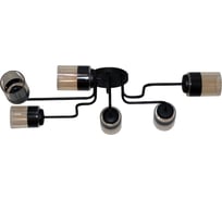 Светильник ЭЛЕТЕХ Техно 162 черный  (Плафон 8396) НСБ 01-6x60-114 Е27 ИУ 1005404588