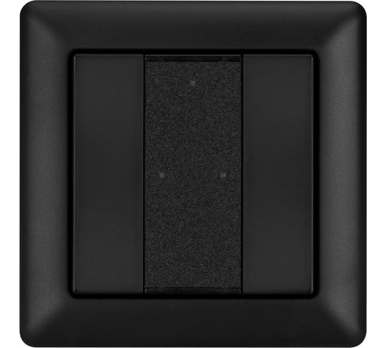 Панель Arlight INTELLIGENT DALI-223-2K-D2-IN-BLACK 0 32504