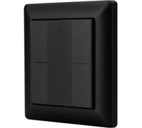 Панель Arlight INTELLIGENT DALI-223-4K-D2-IN-BLACK 0 32502