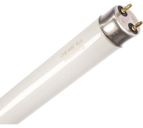 Лампа люминесцентная Camelion FT8-36W/ BIO 6193