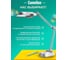 Лампа настольная Camelion KD-017A 3278 серебро 8