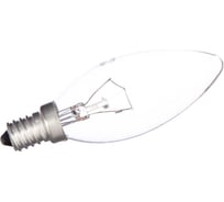 Электрическая лампа накаливания с прозрачной колбой MIC Camelion 60/B/CL/E14, 8970