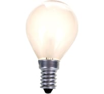 Электрическая лампа накаливания с матовой колбой MIC Camelion 60/D/FR/E14, 9870
