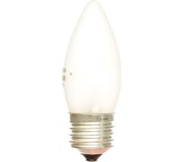 Электрическая лампа накаливания с матовой колбой MIC Camelion 40/B/FR/E27, 9865