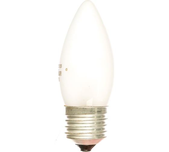 Электрическая лампа накаливания с матовой колбой MIC Camelion 40/B/FR/E27, 9865 1