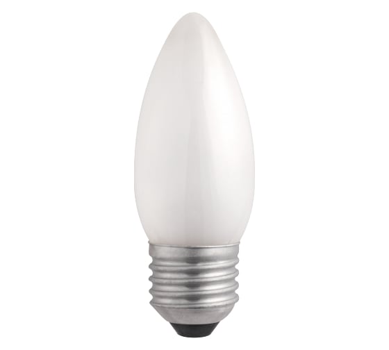 Электрическая лампа накаливания с матовой колбой MIC Camelion 40/B/FR/E27, 9865