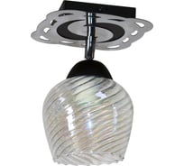 Потолочный светильник ЭЛЕТЕХ Кира 111 черн.муар хром НПБ 01-60-107 ИУ 1005404969