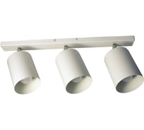 Светильник ЭЛЕТЕХ Спот НПБ 01-3x60-513 белый матовый/белый ИУ 1005404515