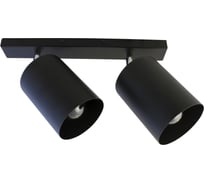 Светильник ЭЛЕТЕХ Спот НПБ 01-2x60-513 черный матовый/черный ИУ 1005404519