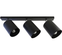Светильник ЭЛЕТЕХ Спот НПБ 01-3x60-513 черный матовый/черный ИУ 1005404520